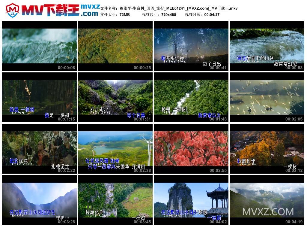 穆维平-生命树_国语_流行_MEE01241